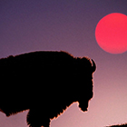 Travel the Rockies - Personalized Packages