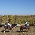 Bear Creek Guest Ranch - Multi-Day Horseback