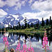 Off the Beaten Path - Glacier & Waterton Packages - Stay at Many Glacier hotel as part of our "Crown of the Continent", 6-day, 5-night package. Small group vacation specialists. Pre-planned or custom created itineraries.