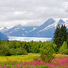 Off the Beaten Path - In-Park Lodging Pckgs