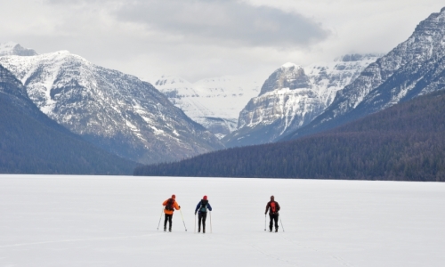 Glacier Backcountry Skiing