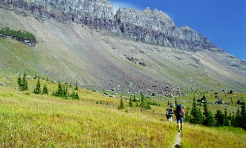 Glacier Hiking