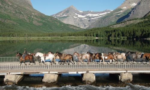 Horseback Riding Glacier Park