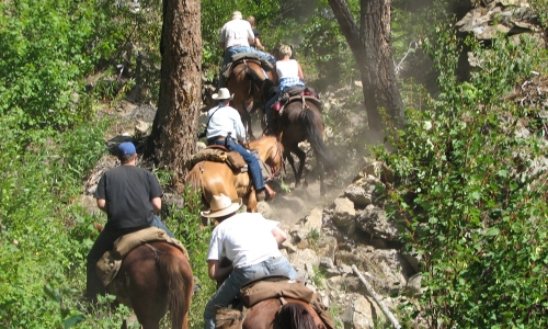 Glacier Horseback Riding