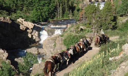 Glacier Park Horseback Riding
