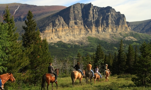 Glacier National Park Horse Trail Rides
