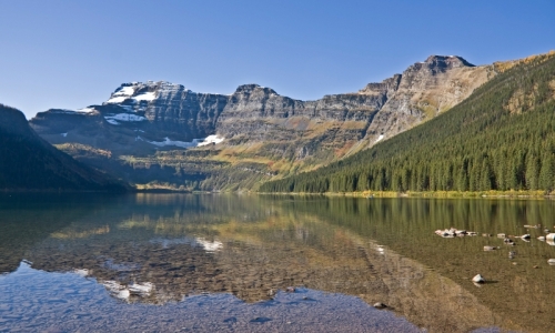 Waterton Park Akamina Parkway