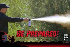 Glacier Outfitters - Bear Spray Rental