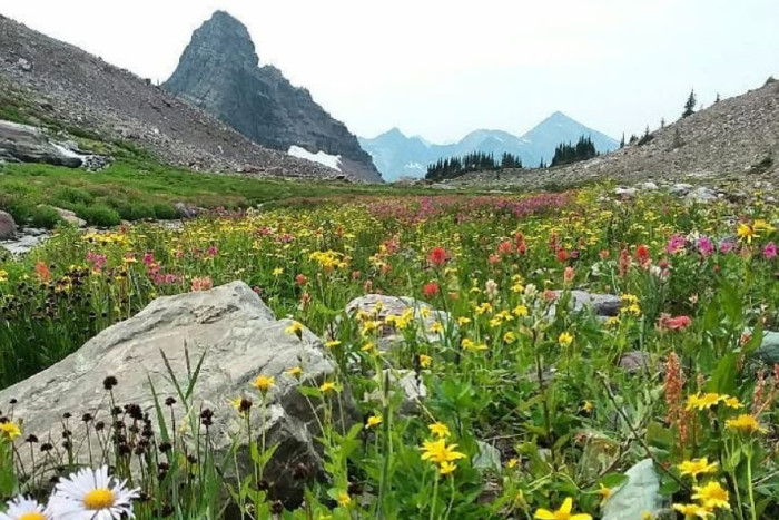 Glacier Outfitters — West Glacier, MT