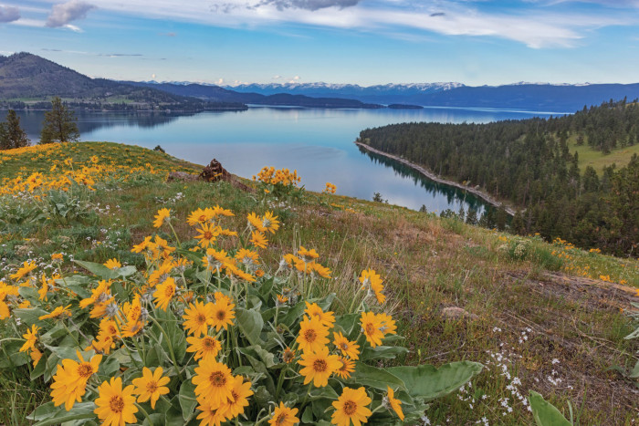 Tour Glacier - Sea Me Paddle — South Lakeside, MT