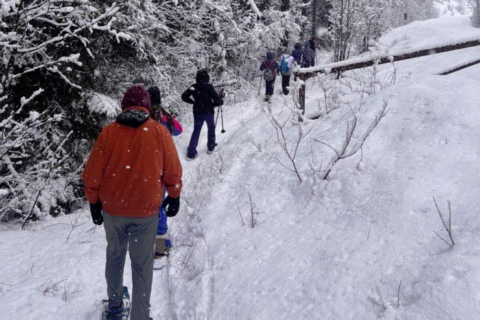 Tour Glacier - Winter Tours — Somers, MT