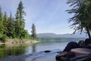 Apgar Village Lodge and Cabins