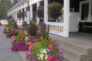 Swiftcurrent Motor Inn & Cabins