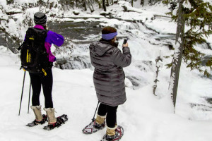Glacier | Tourbase: Glacier Snowshoe Trek