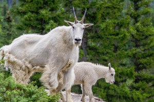 Off the Beaten Path | Guide-Led Glacier Adventures