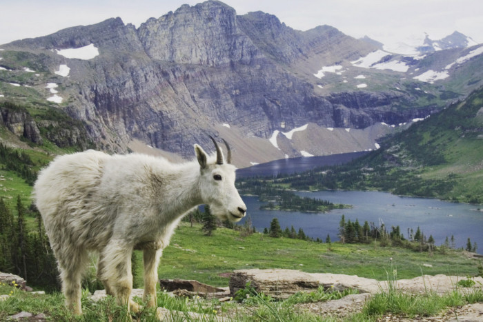 Off The Beaten Path — Bozeman, MT