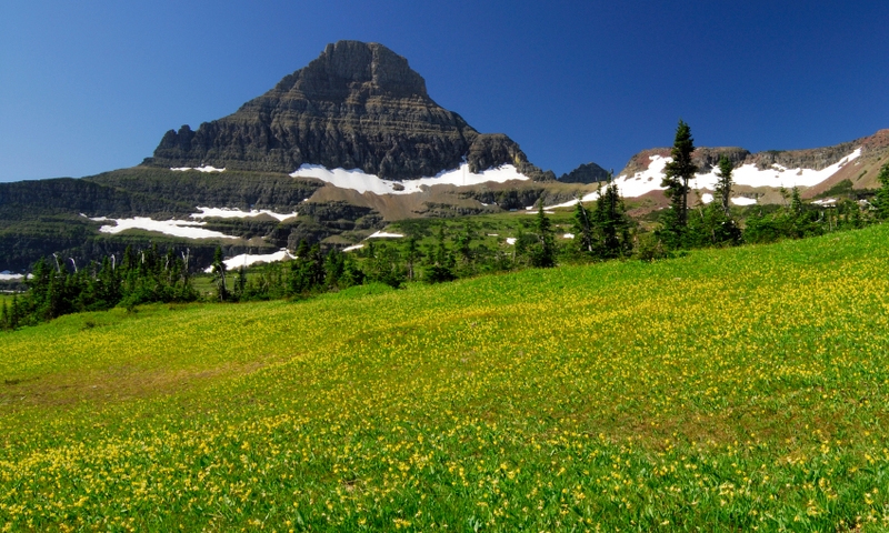Glacier National Park Hanging Garden
