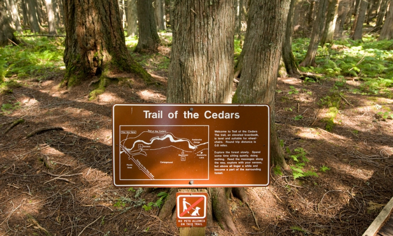 Trails of the Cedars Nature Trail 