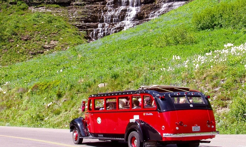 Glacier National Park Montana Red Jammer Bus Weeping Wall