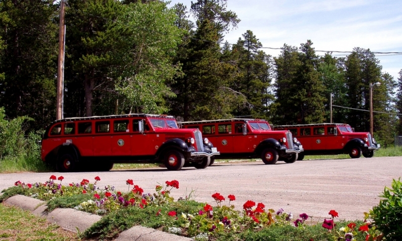 red bus jammer tours