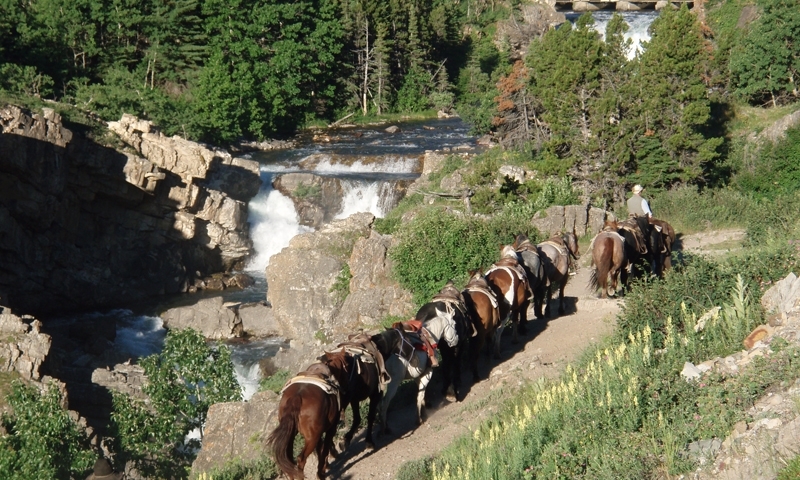 Horseback Riding Glacier National Park Many Glacier Montana