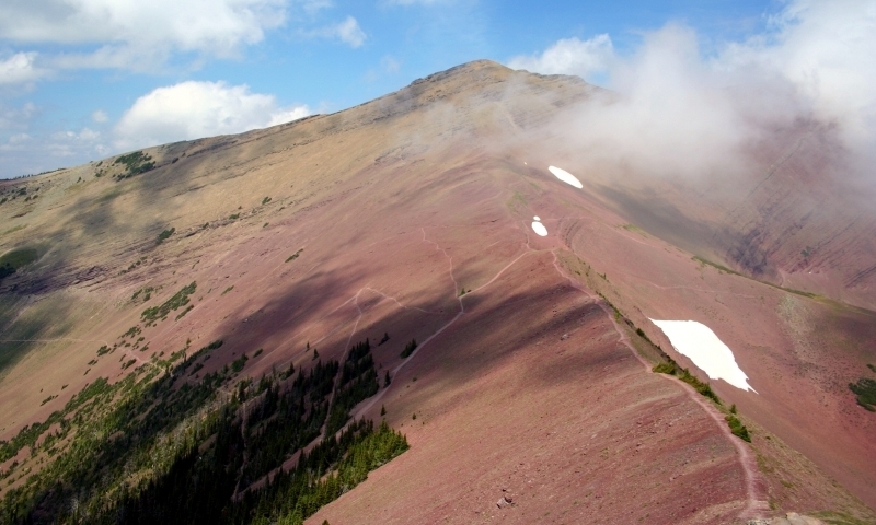 Carthew Alderson Trail