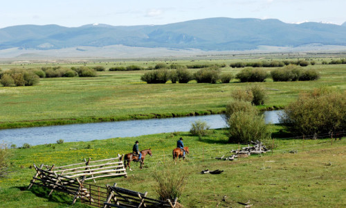 Horseback Riding