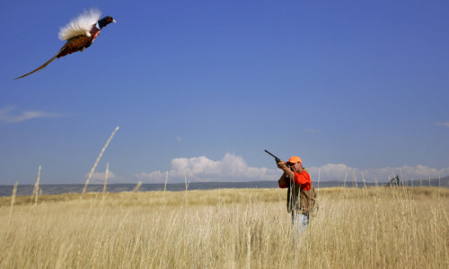 Hunting