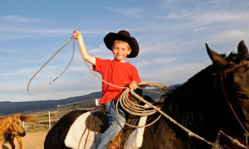 Horse Pack Trips