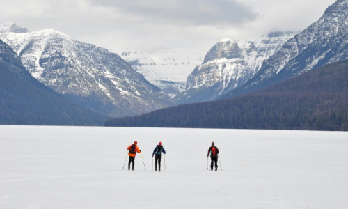 Winter Activities
