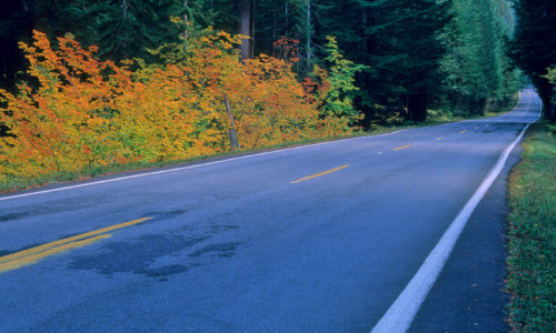 Airport Shuttles & Transfers