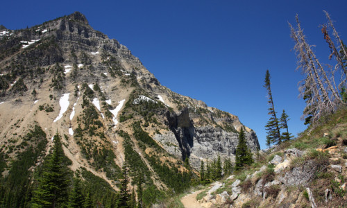 Backcountry