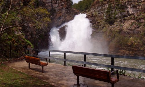 Park Fees